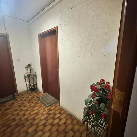 Apartment Nouveau ! Sublime T2 Ajaccio (Corsica)