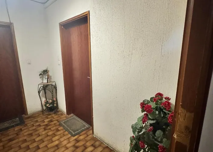 Apartment Nouveau ! Sublime T2 Ajaccio (Corsica)